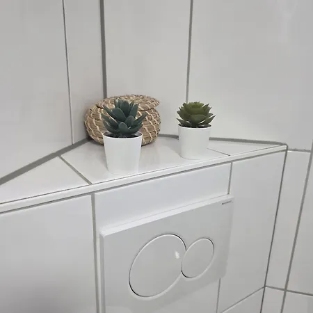 Apartment 43 *